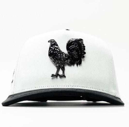 GALLO BLANCA